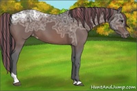 Horse Color:Painted Brown Ice Tobiano Varnish 