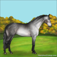 Horse Color:Gray Platinum Brown Rabicano 