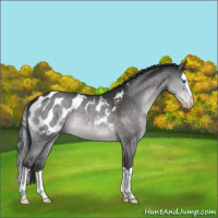 Horse Color:Platinum Brown Dun Splash Appaloosa 