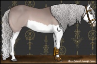 Horse Color:Platinum Silver Brown Splash 