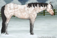 Horse Color:Bay Ice Roan Dun 
