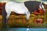 Horse Color:Buckskin Chinchilla Dun Rabicano 