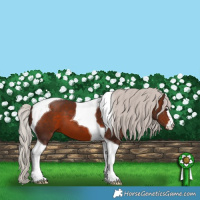 Horse Color:Silver Brown Tobiano 