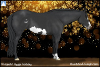 Horse Color:Black Frame 