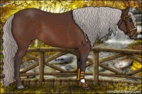 Horse Color:Silver Bay Mushroom 