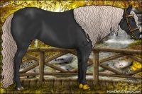 Horse Color:Liver Chestnut Mushroom 