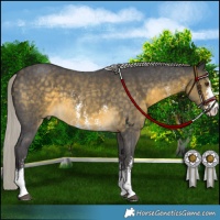 Horse Color:Silver Buckskin Mushroom Sabino 