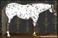 Horse Color:Liver Red Roan Mushroom Near Leopard