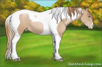 Horse Color:Chestnut Pearl Tobiano 