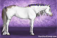 Horse Color:Liver Red Dun Roan Splash Frame Rabicano 