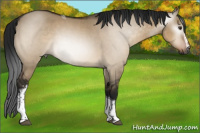 Horse Color:Gray White Spotted Brown Dun Tobiano 