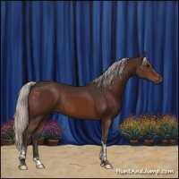 Horse Color:Silver Brown Tobiano Rabicano 