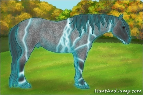 Horse Color:Thunderstruck Blue Roan Rabicano 