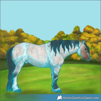 Horse Color:Thunderstruck Brown Roan Dun 