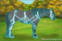 Horse Color:Thunderstruck Blue Roan 