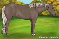 Horse Color:Silver Black 