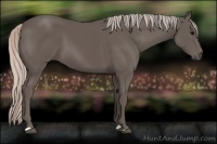 Horse Color:Silver Black 