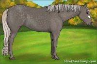 Horse Color:Silver Black 