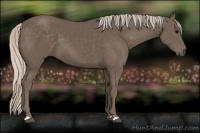 Horse Color:Silver Black 