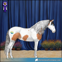 Horse Color:Bay Splash Tobiano 
