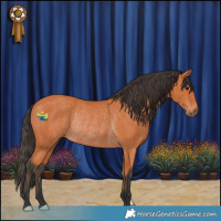Horse Color:Bay Rabicano 