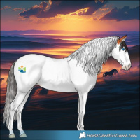 Horse Color:Bay Splash Tobiano 