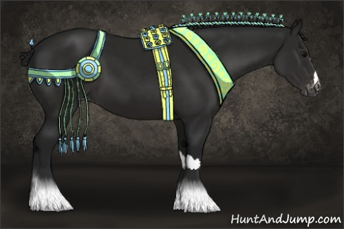 Horse Color:Gray Black Appaloosa 