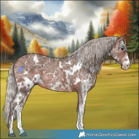 Horse Color:White Spotted Silver Brown Ice Sabino 