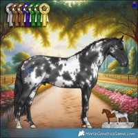 Horse Color:White Spotted Black