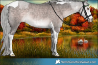 Horse Color:Platinum Chocolate Palomino Sabino Tobiano Rabicano