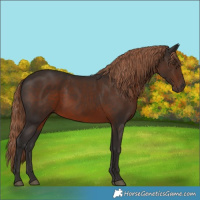 Horse Color:Liver Chestnut 