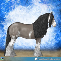 Horse Color:Grullo Mushroom Sabino