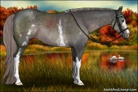 Horse Color:Platinum White Spotted Liver Chestnut 