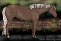 Horse Color:Silver Black 