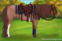 Horse Color:Chocolate Brown Roan 