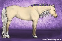 Horse Color:Silver Buckskin Dun Tobiano 