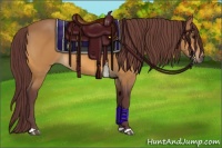 Horse Color:Chocolate Buckskin 
