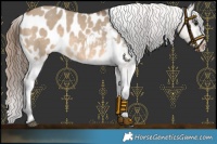 Horse Color:Brown Dun Sabino Blanket 