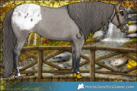 Horse Color:Grullo Snowcap 