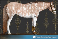 Horse Color:Brown Pearl Sabino