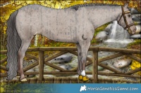 Horse Color:Liver Red Dun Varnish Brindle 