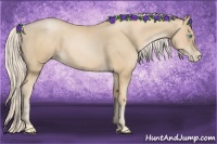 Horse Color:Palomino Pearl 