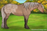 Horse Color:Silver Brown Ice Dun Rabicano 