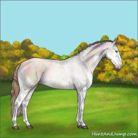 Horse Color:Nacre Liver Chestnut Pearl Splash 