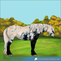 Horse Color:ERROR: UNKNOWN ANOMALY