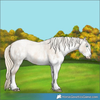 Horse Color:White Spotted Chocolate Palomino Roan Pearl Mushroom 