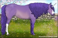Horse Color:Watercolor Bay 