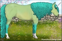Horse Color:Watercolor Bay 