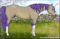 Horse Color:Watercolor Bay 