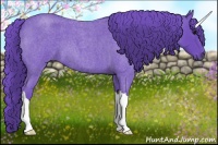 Horse Color:Watercolor Blue Roan 